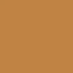 Warm Terracotta