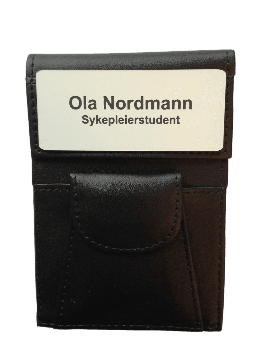 Diverse_skinnmappe_02