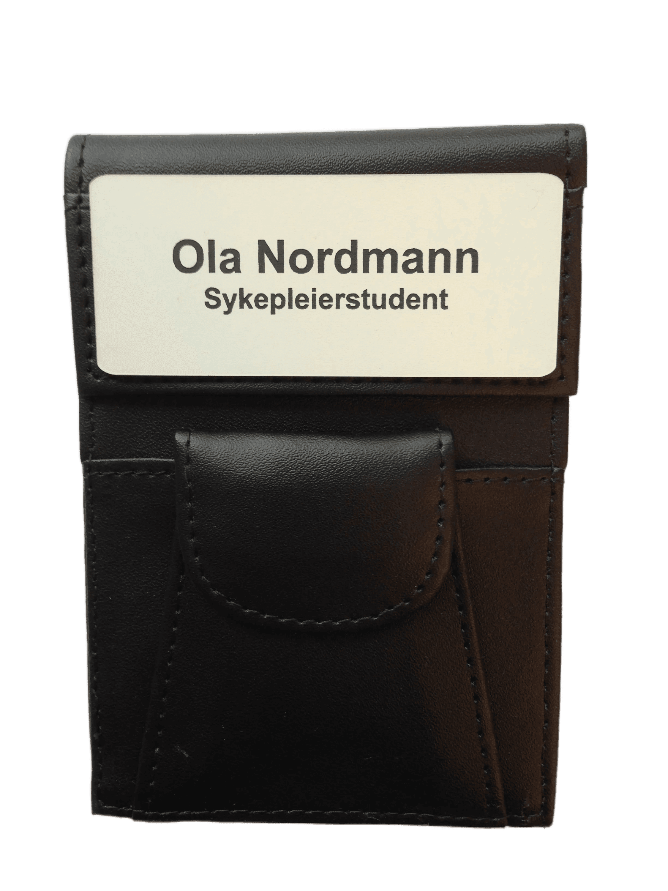 Diverse_skinnmappe_02