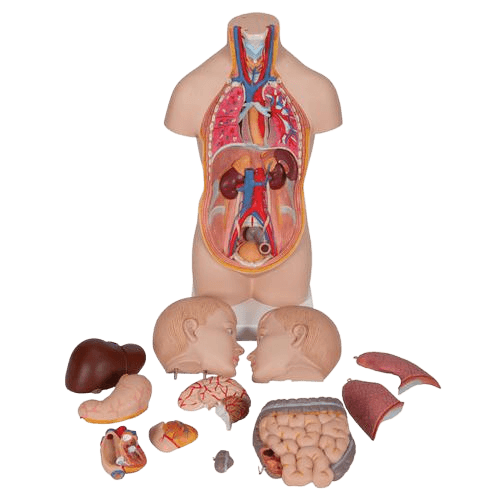 Undervisning_1000195_03