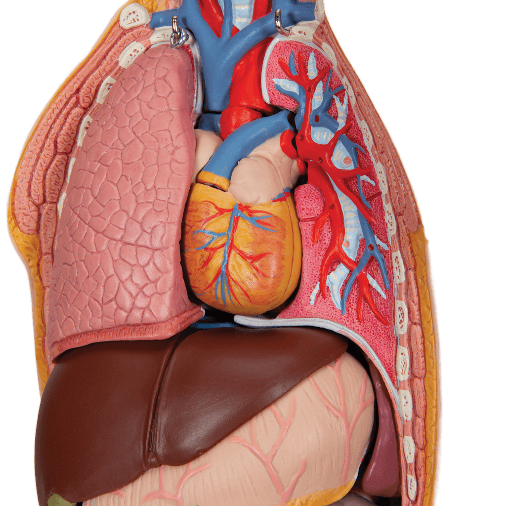 Undervisning_1000195_05