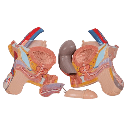 Undervisning_1000196_05