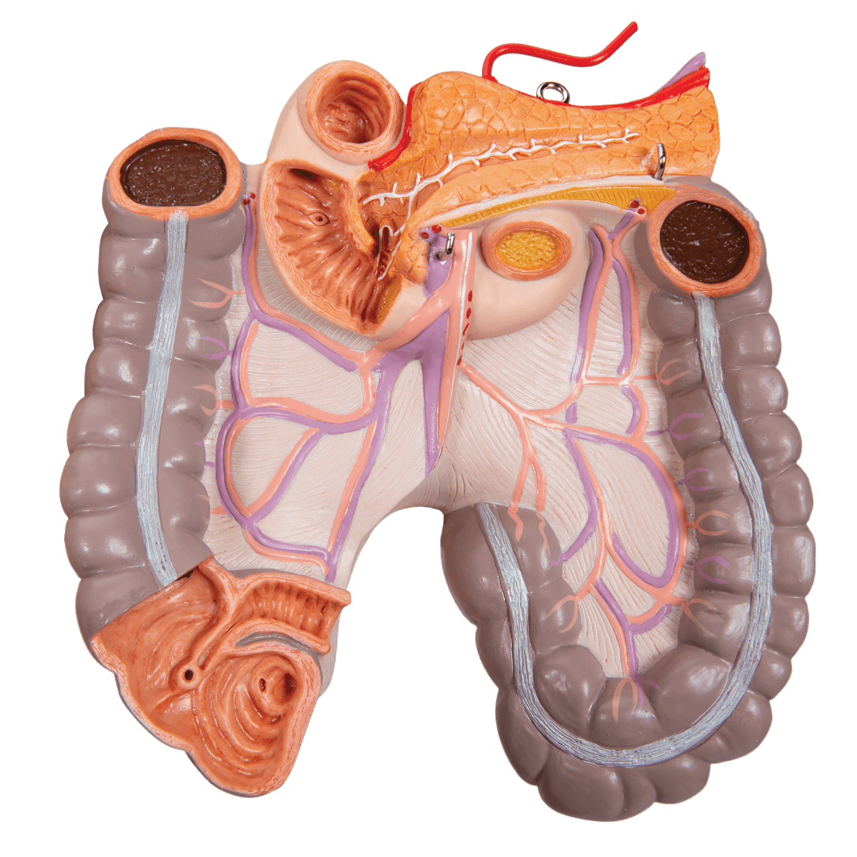 Undervisning_1000196_06