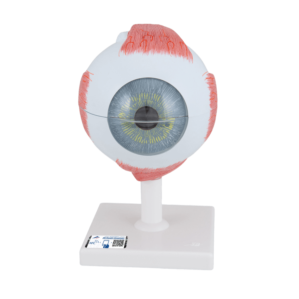 Undervisning_1000255_01