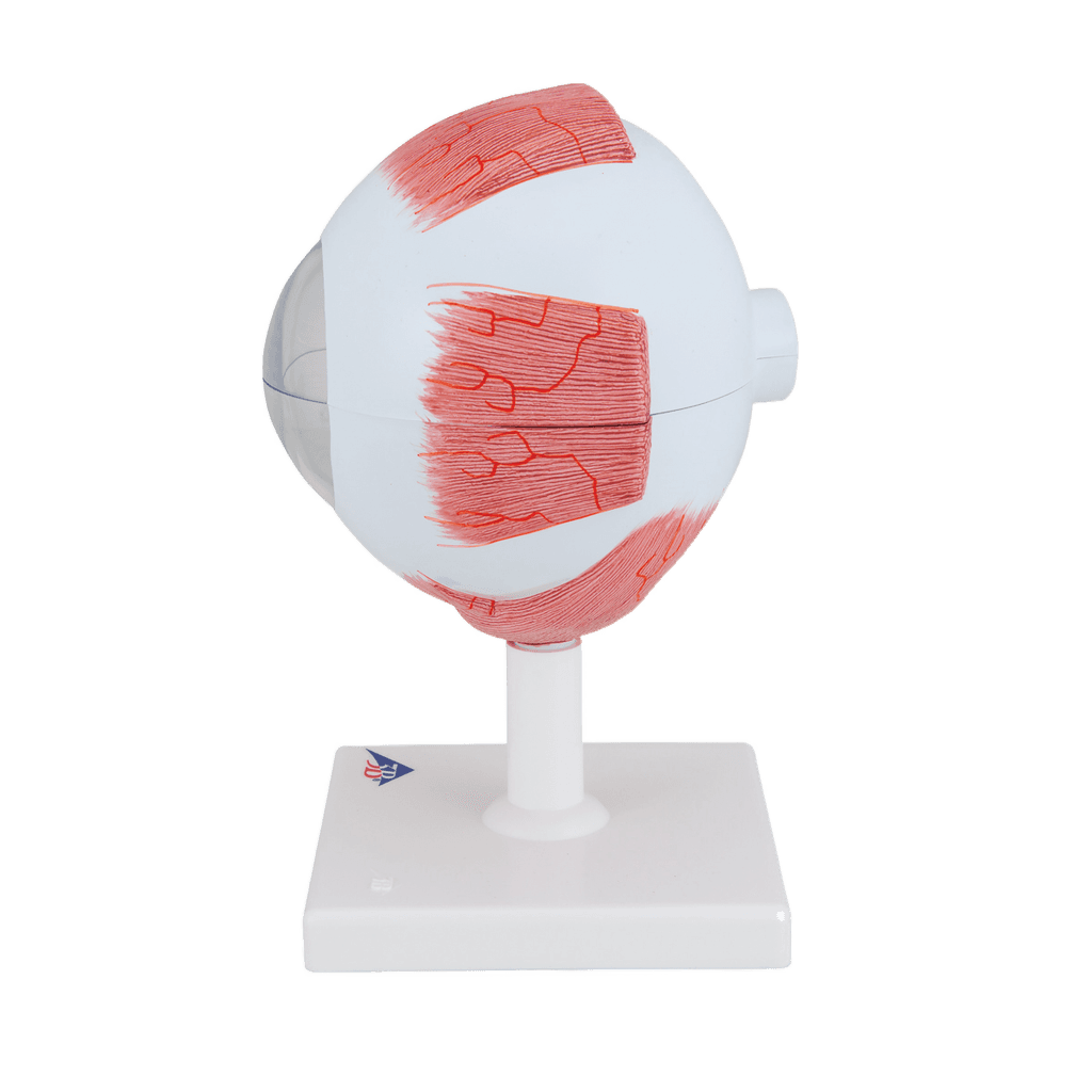 Undervisning_1000255_02