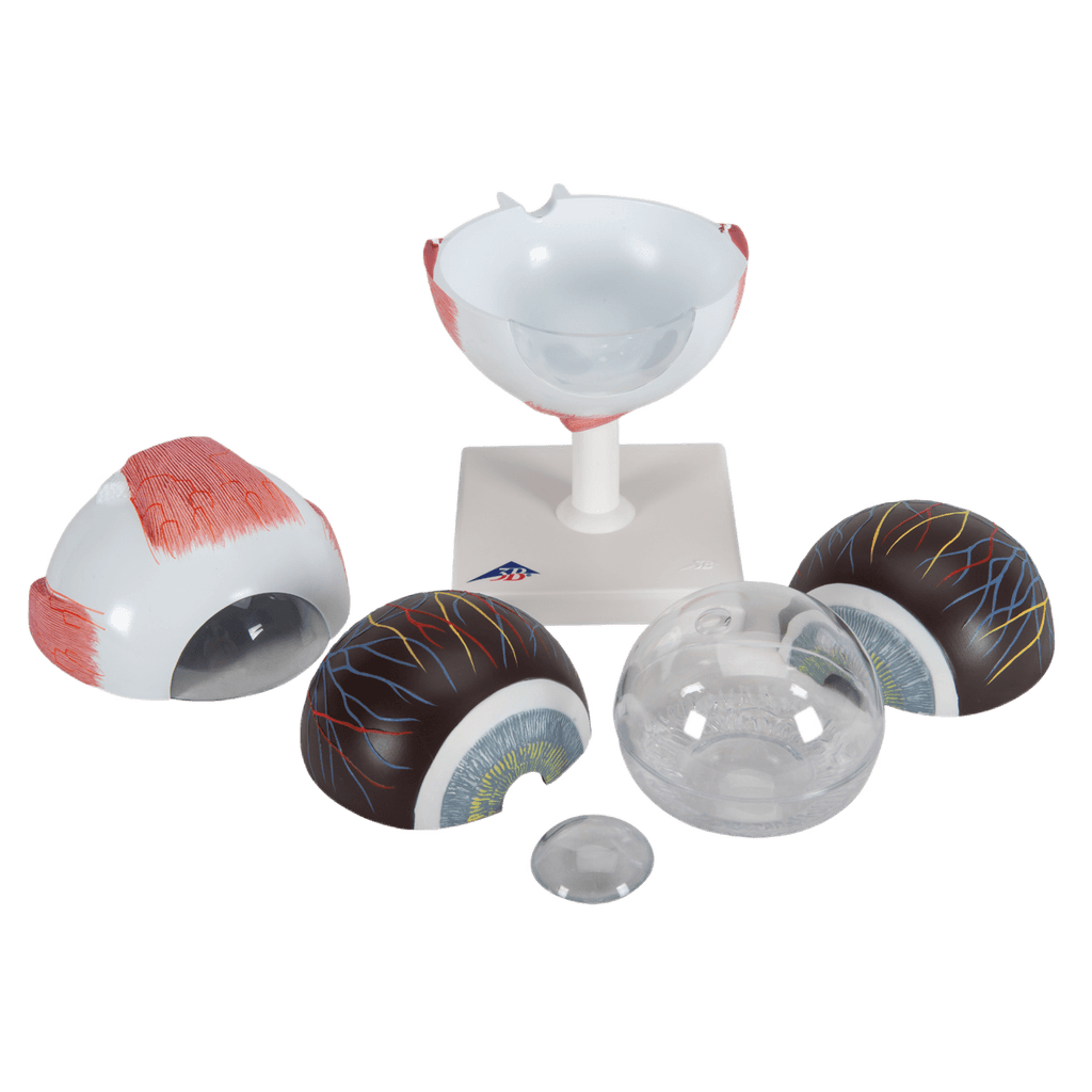 Undervisning_1000255_03