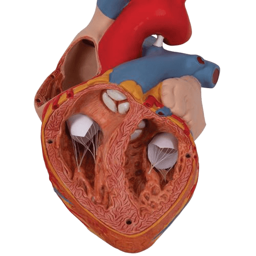 Undervisning_1000268_03