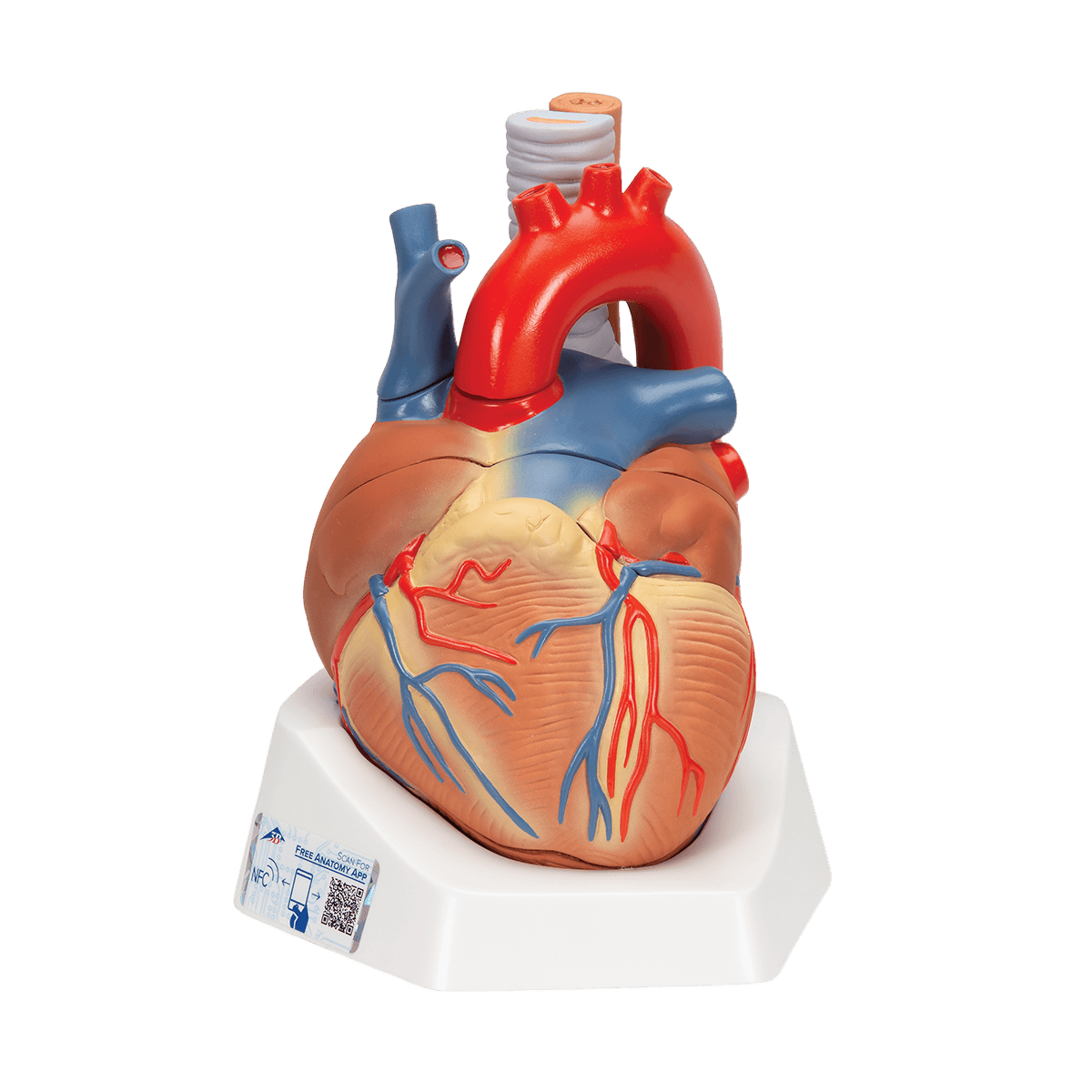 Undervisning_1008548_01