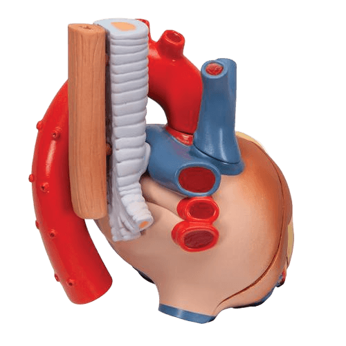 Undervisning_1008548_02