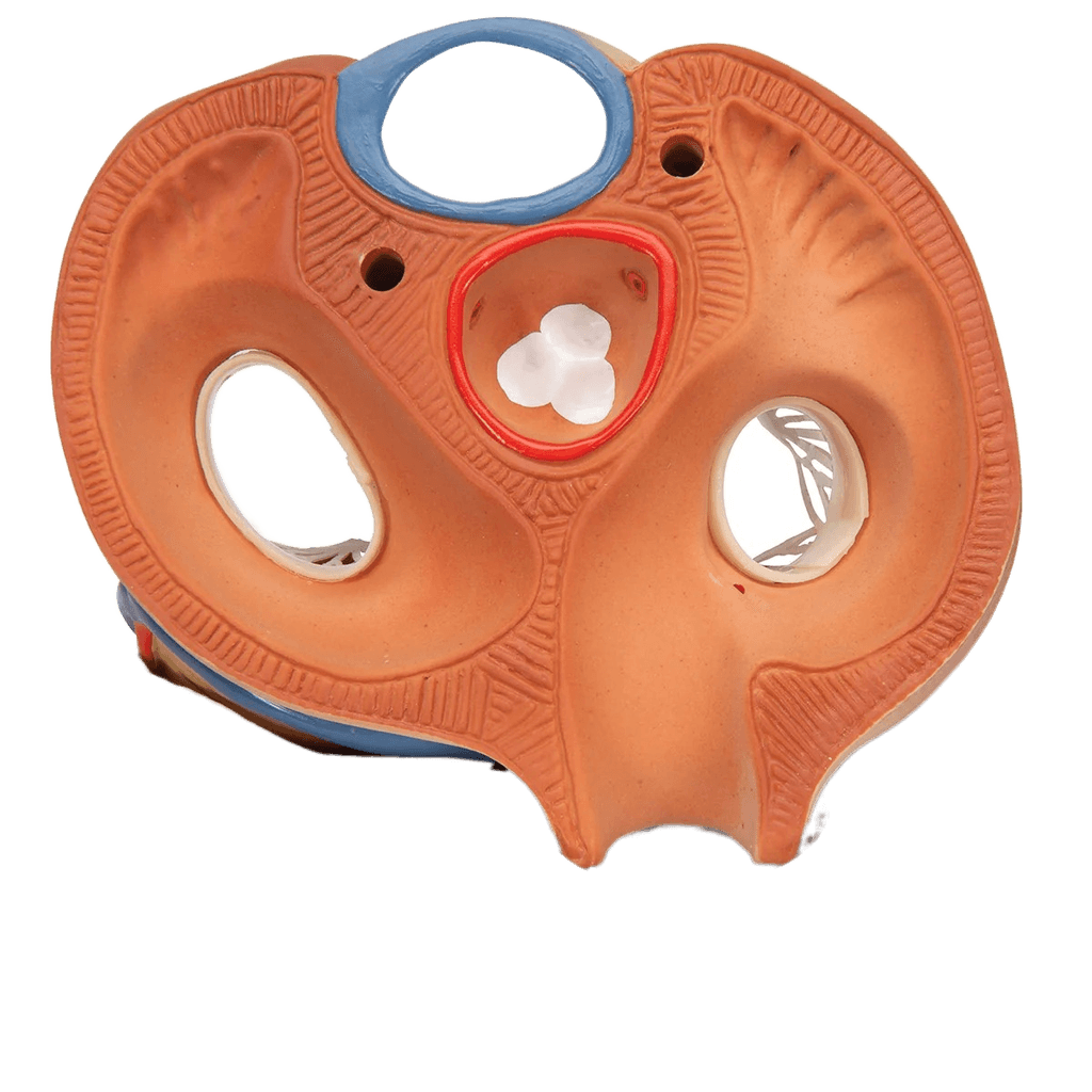 Undervisning_1008548_05