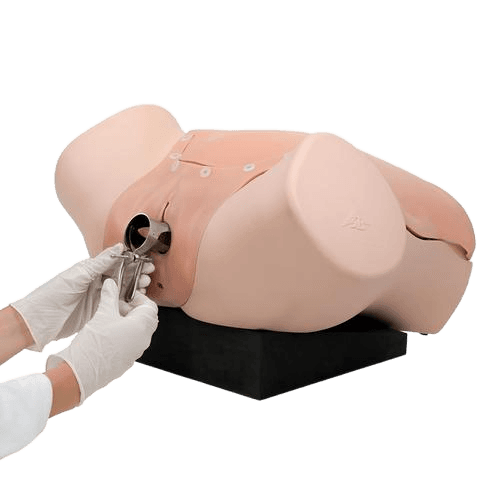Gynekologisk ferdighetstrener P91