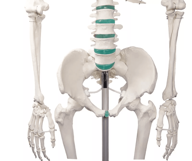 Undervisning_2960_03