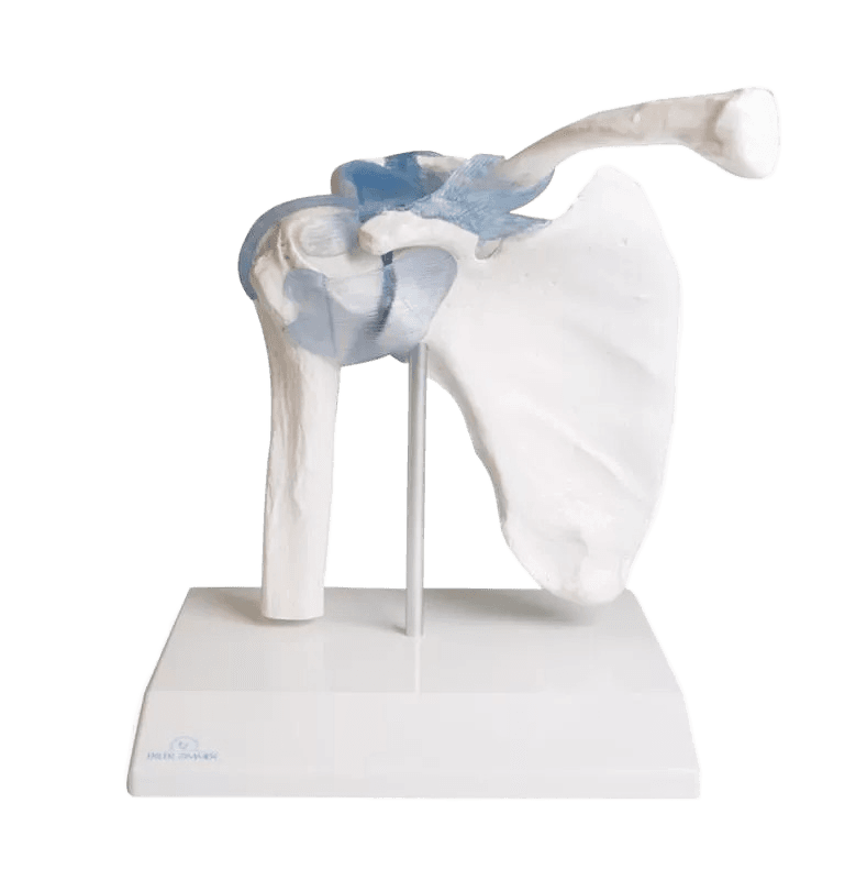 Undervisning_4550_01