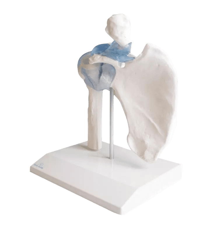 Undervisning_4550_02