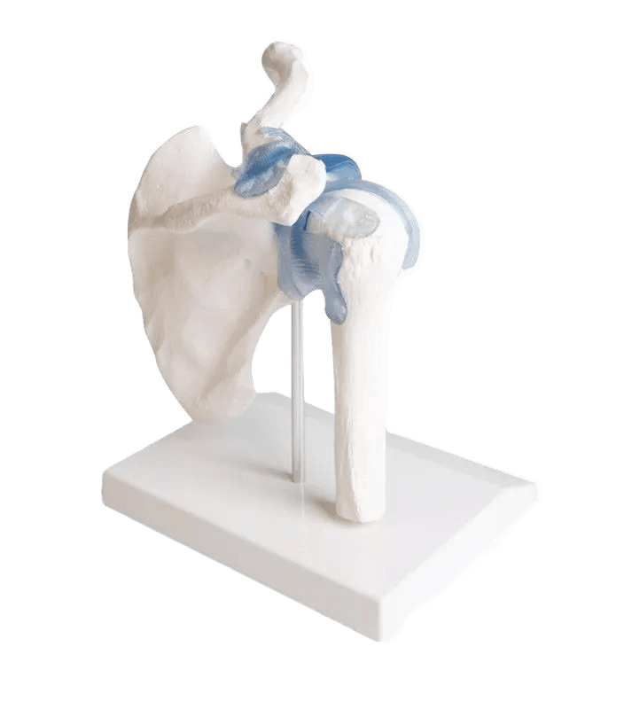 Undervisning_4550_03