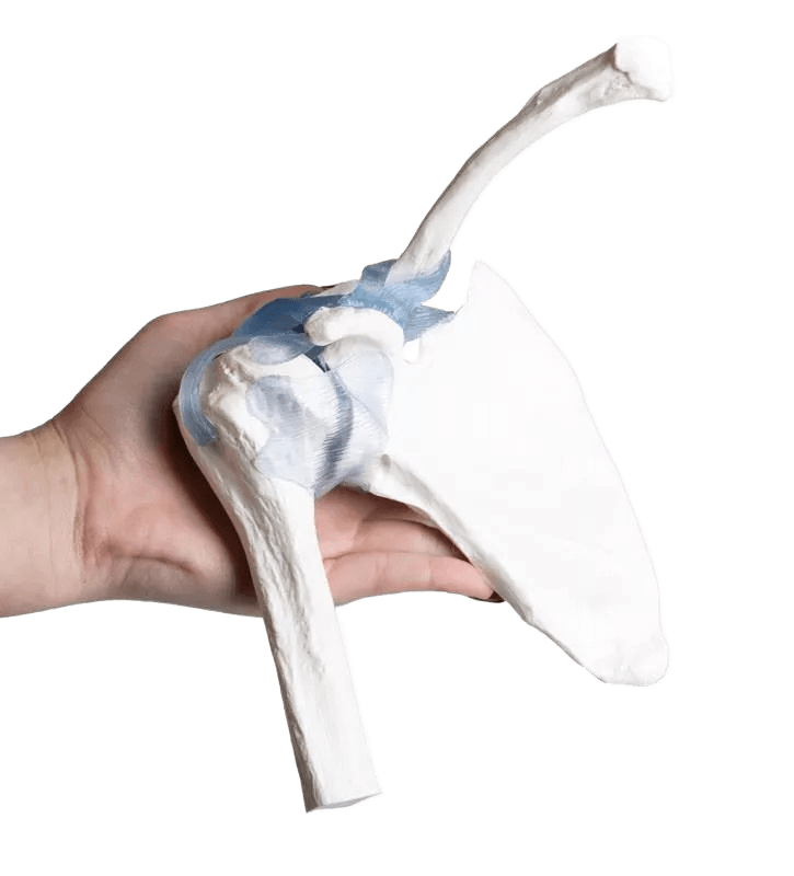 Undervisning_4550_04