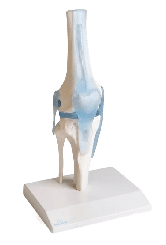 Undervisning_4552_01