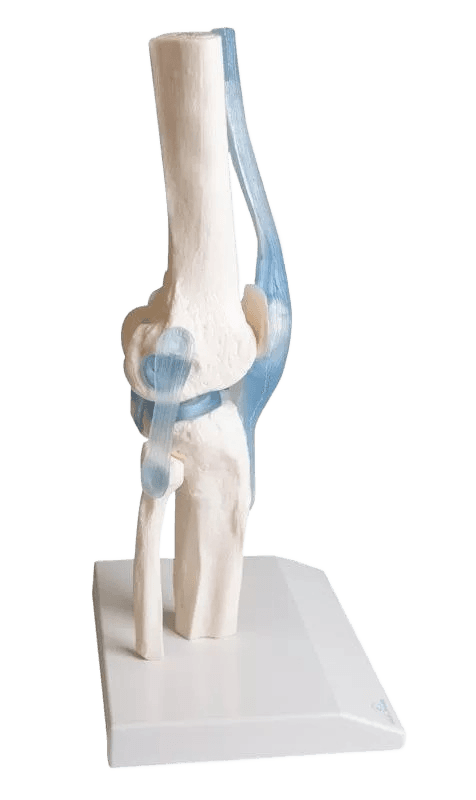 Undervisning_4552_02