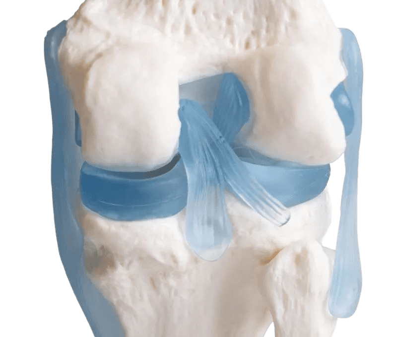 Undervisning_4552_04