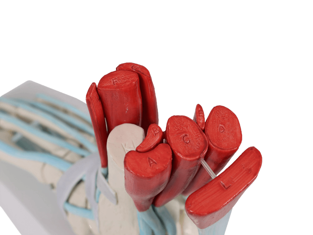 Undervisning_6052_04