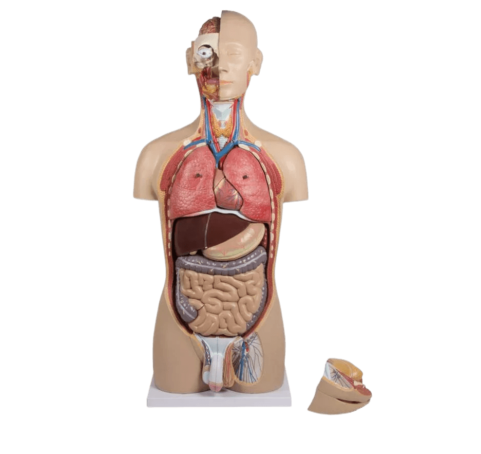 Undervisning_B235_01