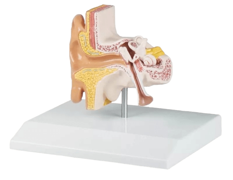 Undervisning_E220_01