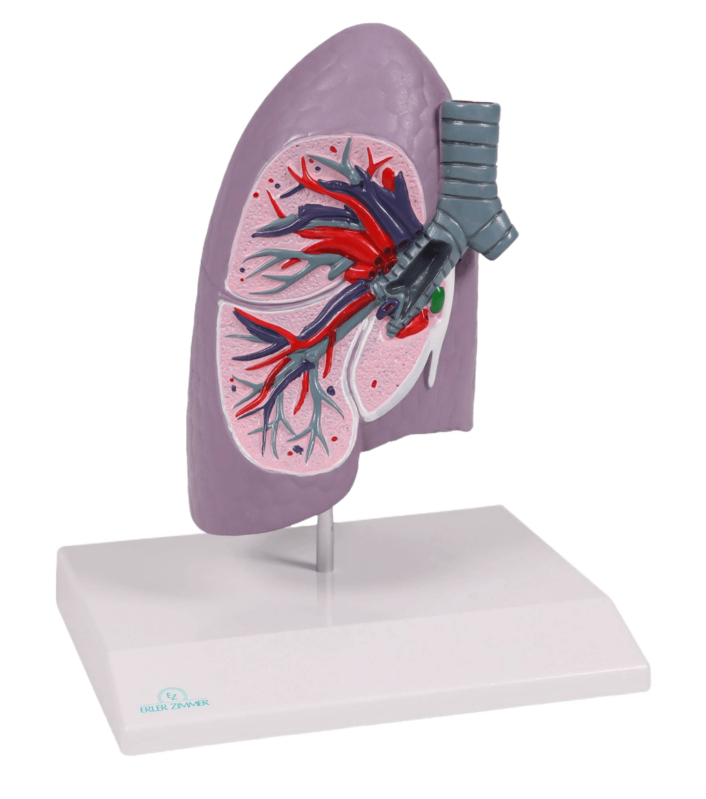 Undervisning_G253_01