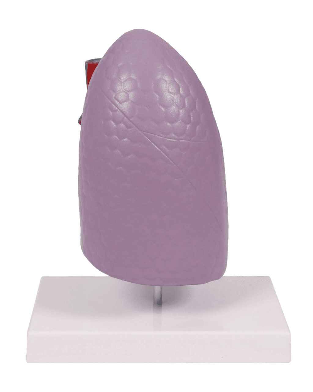 Undervisning_G253_02