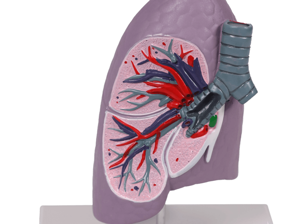 Undervisning_G253_03