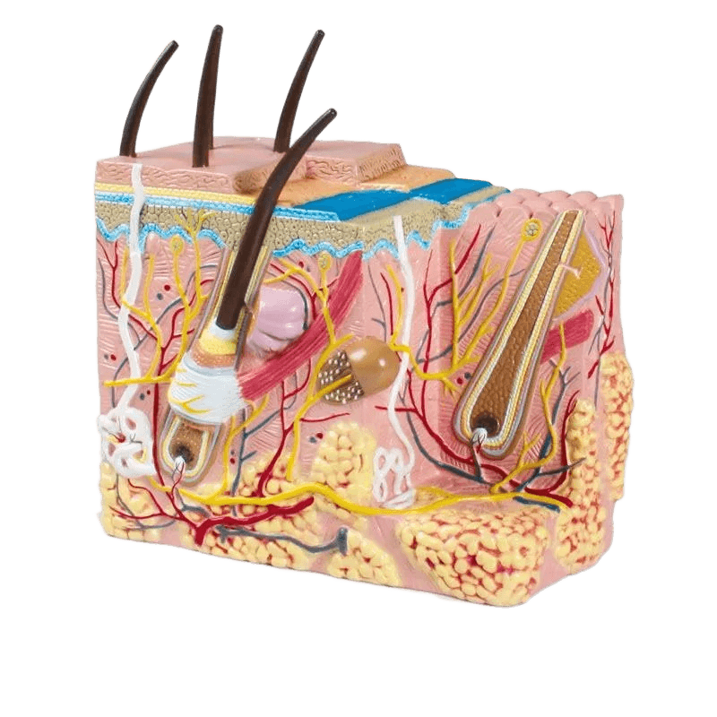 Undervisning_J213_01