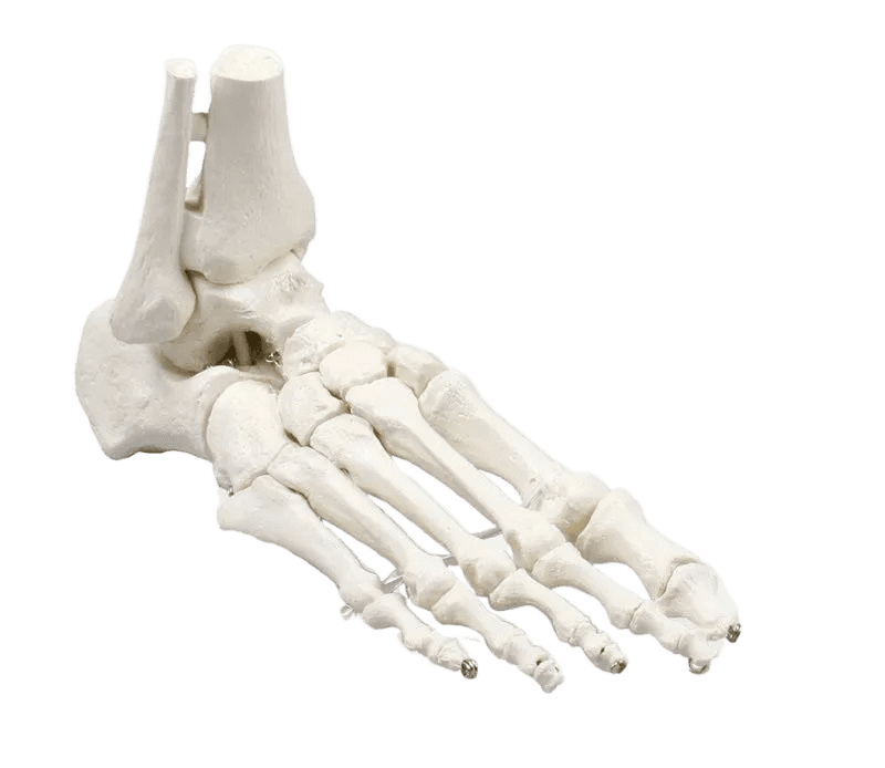 Undervisning_6053S_01